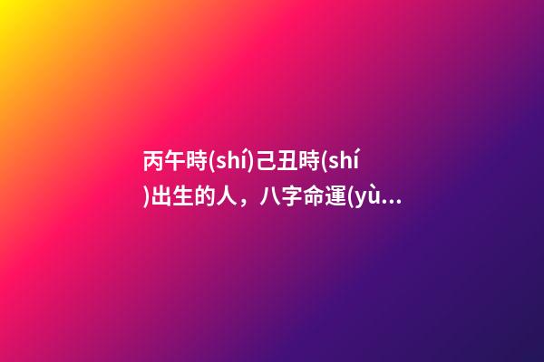 丙午時(shí)己丑時(shí)出生的人，八字命運(yùn)如何？